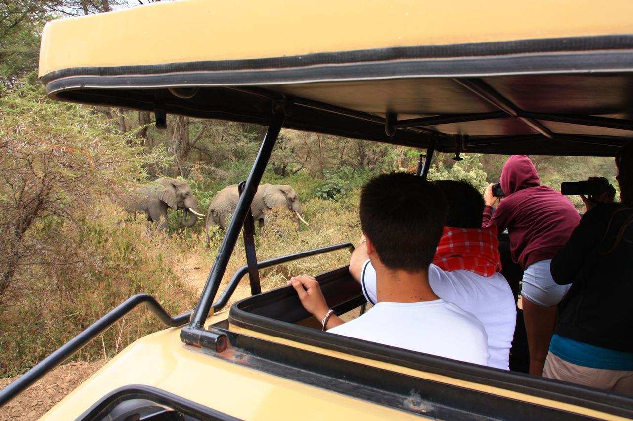The Vijiji Center Lodge & Safari أروشا المظهر الخارجي الصورة